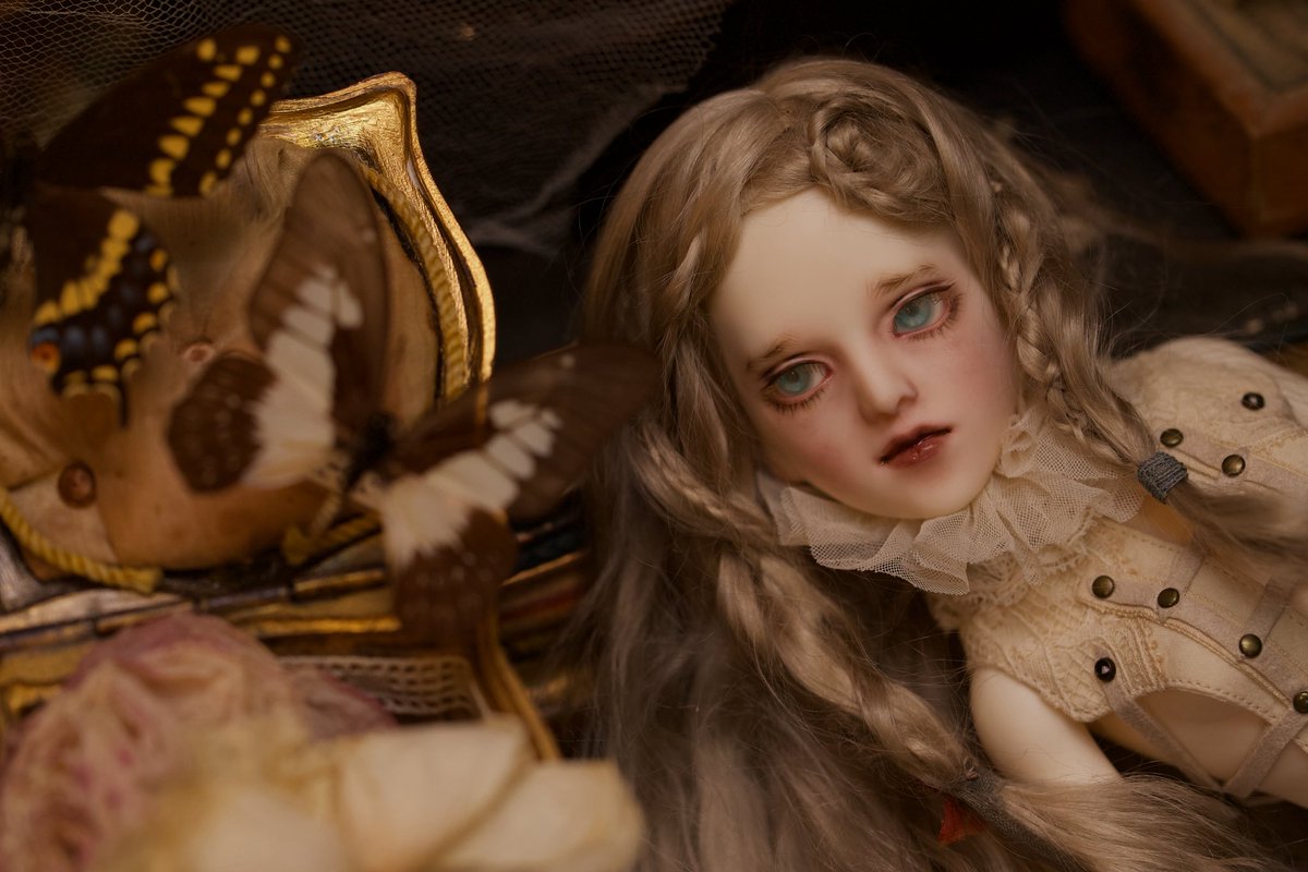 camellia🖤fino alla fine (@aicoda) / Posts / X