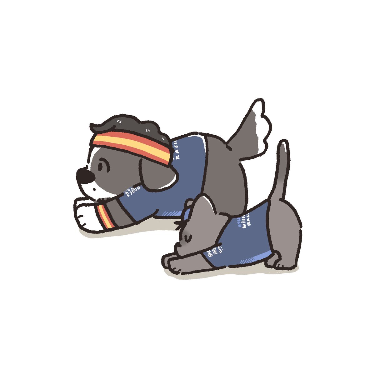 RMDB_33's tweet image. Williams Yoga class🐶🐱

#CS55 #AA23