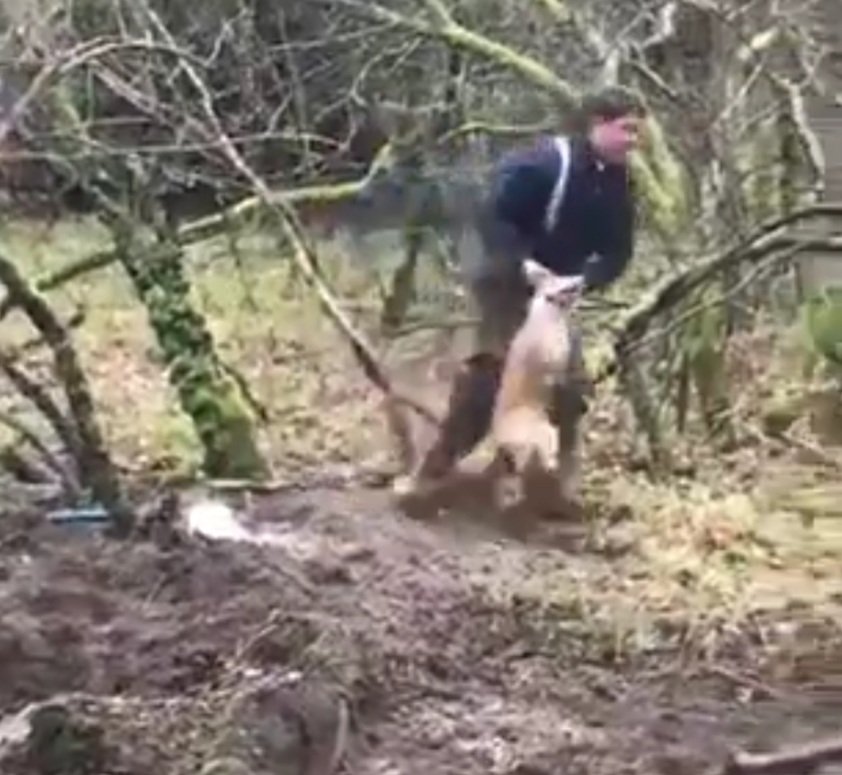 Kaarina Jaakkola 🇪🇺🇫🇮 🦢 🌊 ⛵🌞 tweet media