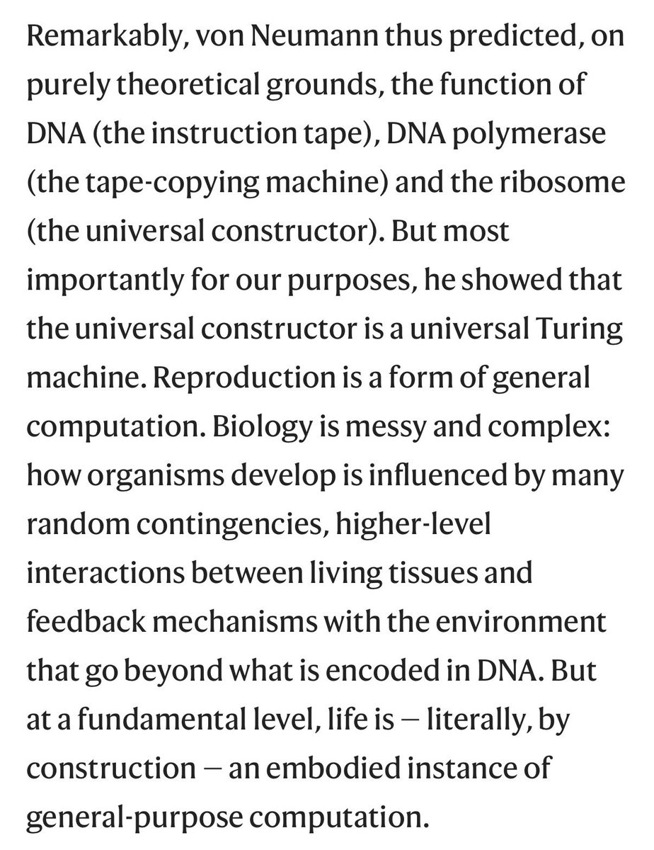 Simona Cristea tweet media