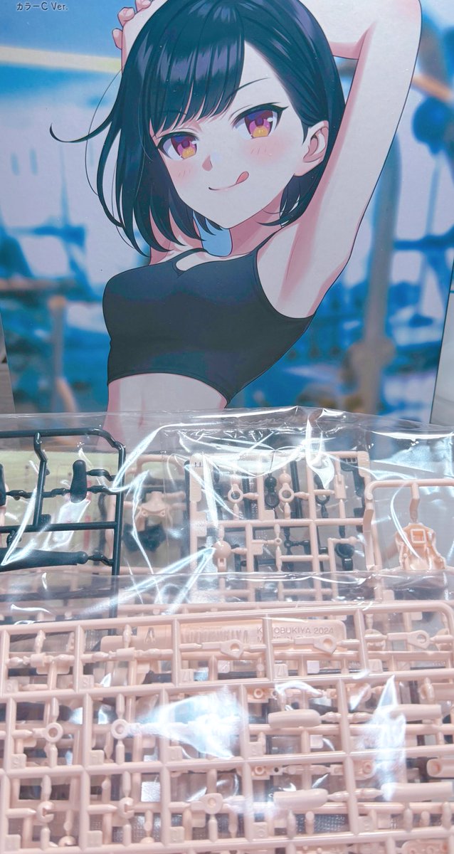 あみぞうページ 2025年最後にあけるのは、ドレスアップボディM カラーC😌 創彩少女庭園