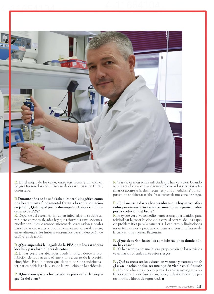 🇪🇸🐗🦌🐂🇪🇸 (@el_onubense) on Twitter photo 