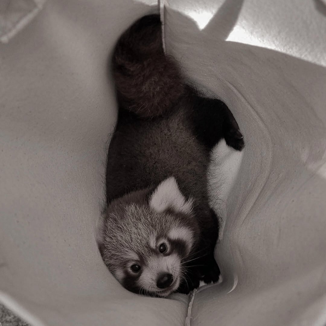 ㅤ

Pertemanan laki-laki yang penting makhluk hidup. Baru pertama kali ketemu, langsung bisa duduk santai sampingan begitu.

ㅤ