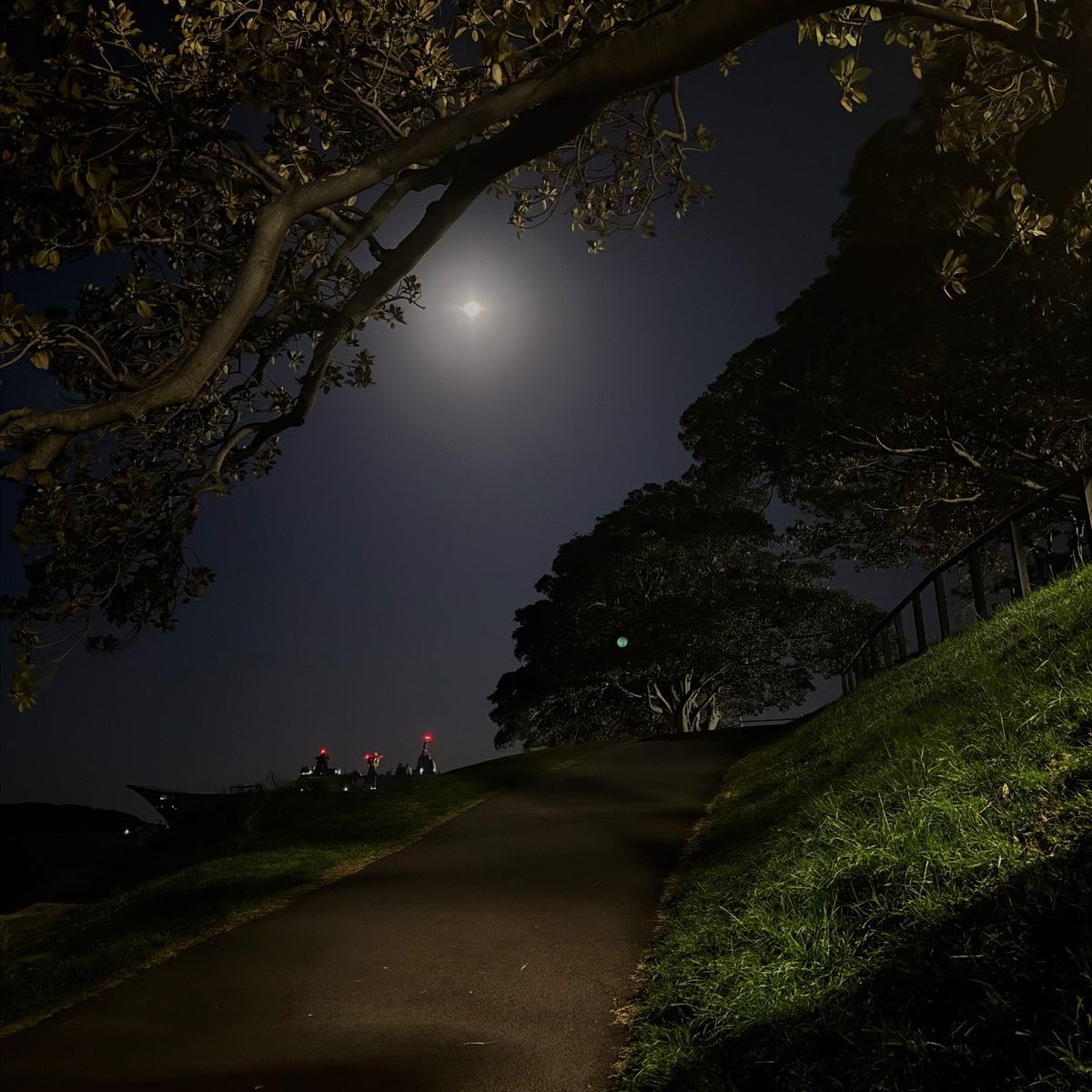 trafvlqar's tweet image. ︎ㅤㅤ
︎ㅤㅤㅤ
︎ ︎ ㅤㅤ
📍월악산국립공원
last hiking for 2025!