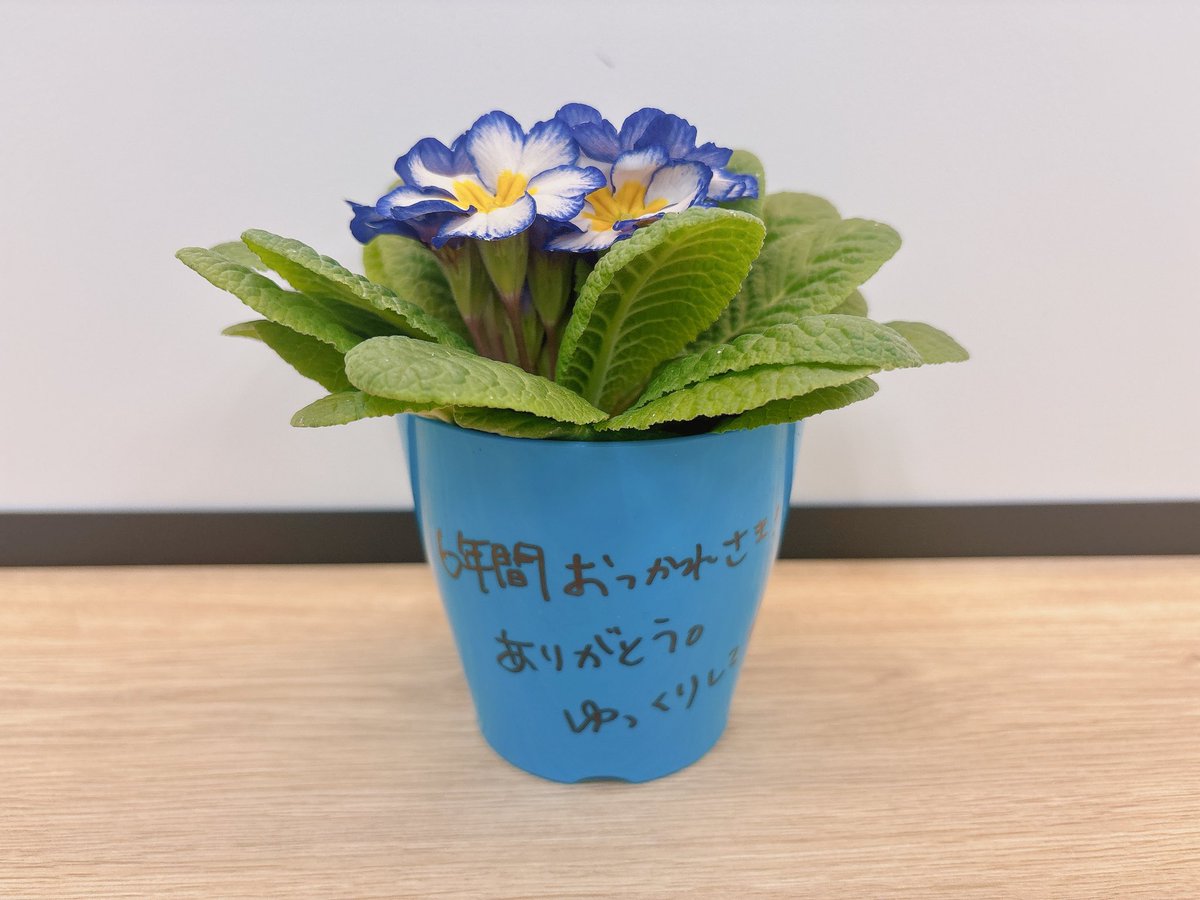 【ホロライブ】すまん、普通に泣くわ【常闇トワ】