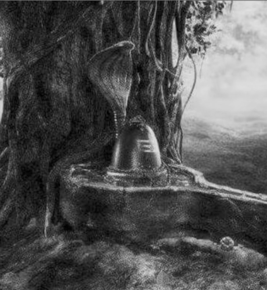 Om Namah Shivay 🕉️
#om
#Mahadev 
#Trending