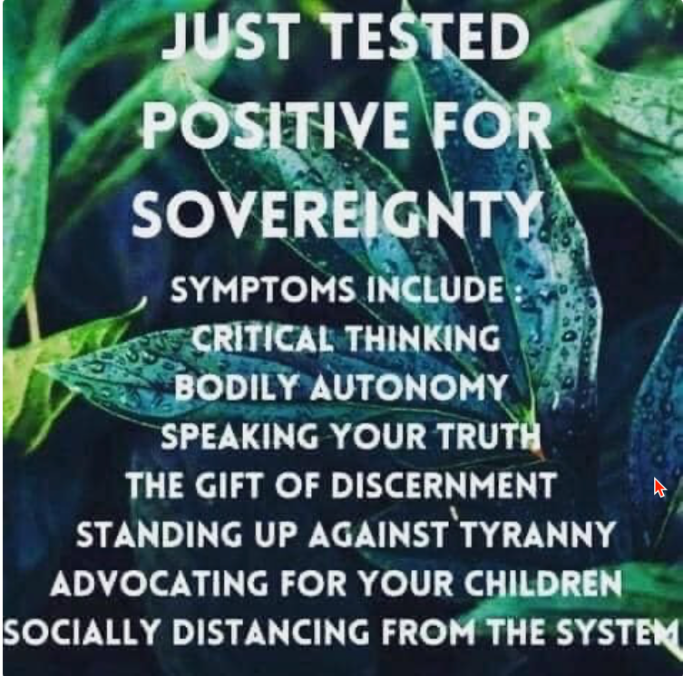 todd lammle tweet media