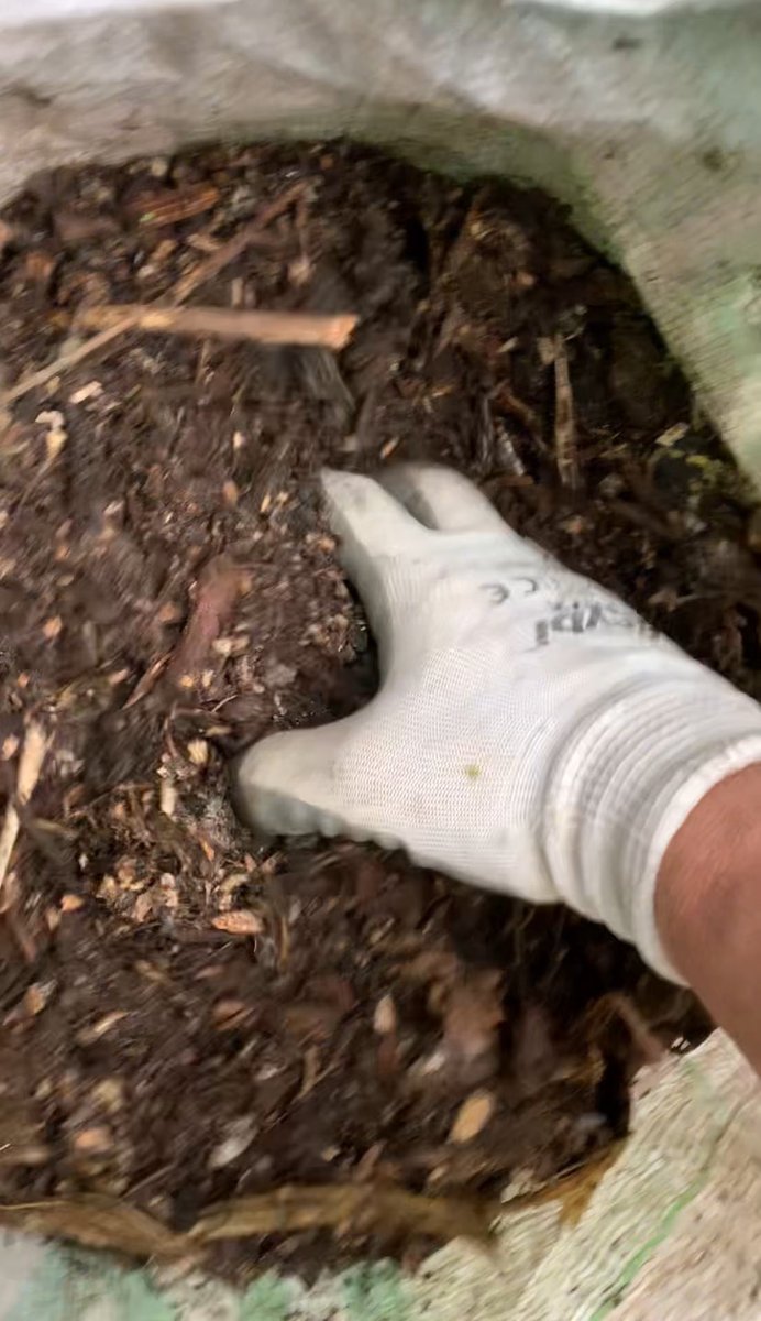 Bahçe atıklarından sıcak kompost yöntemiyle doğal gübre yapıyorum