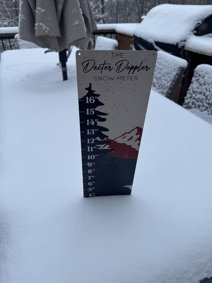 Mitchell tweet media