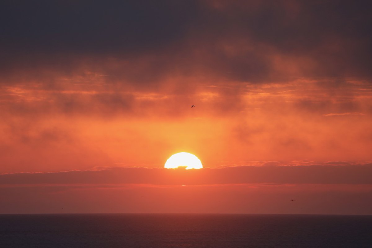 The Surf Station tweet media