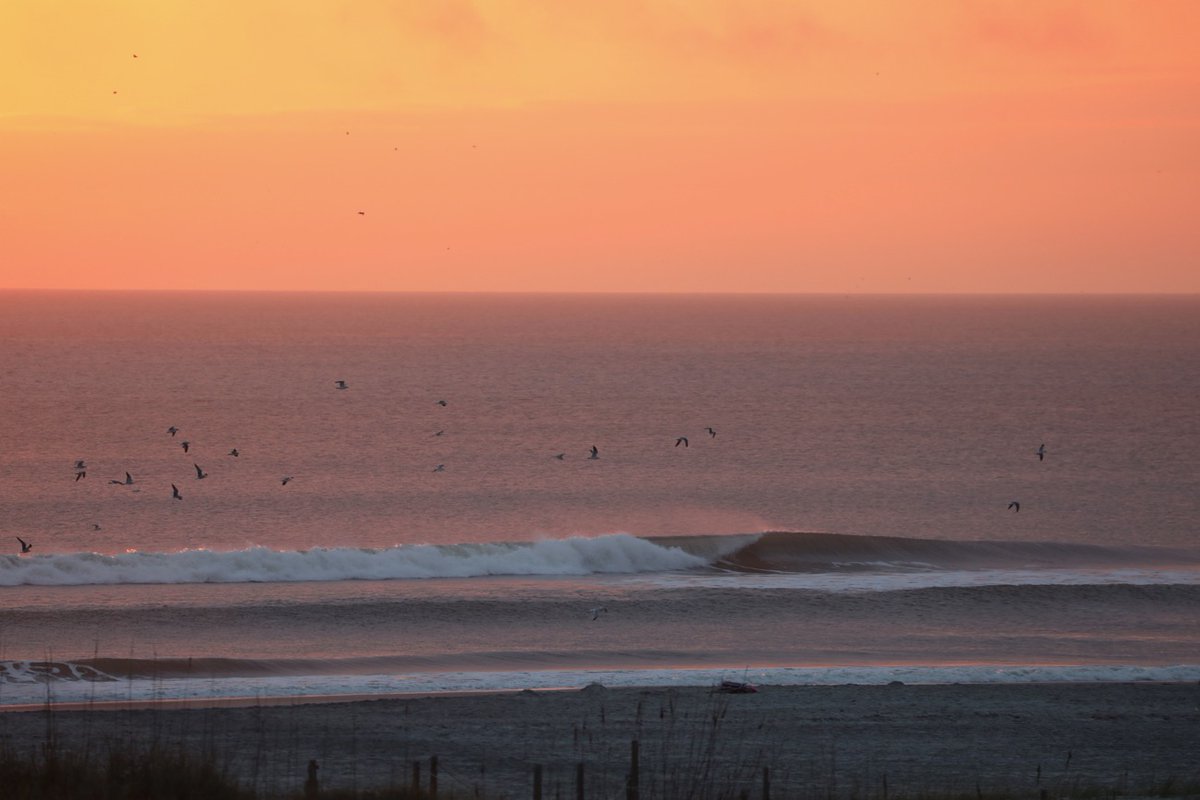 The Surf Station tweet media