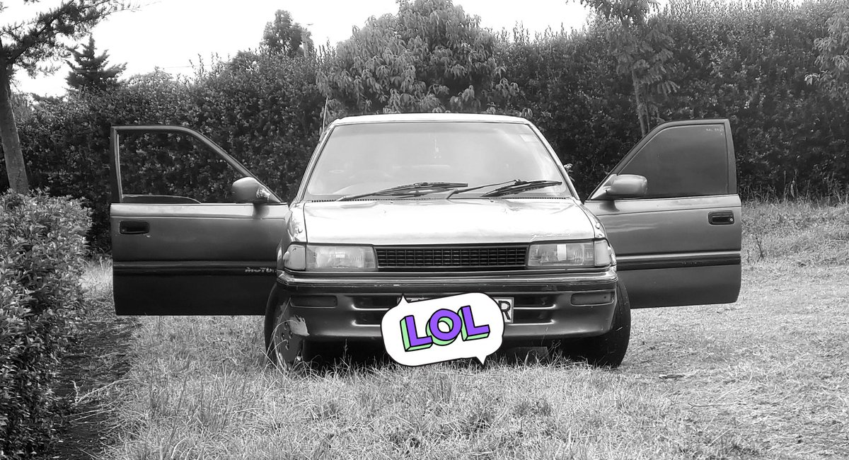 My bunny 🐰 waiting for 2026. More spins and shifts.