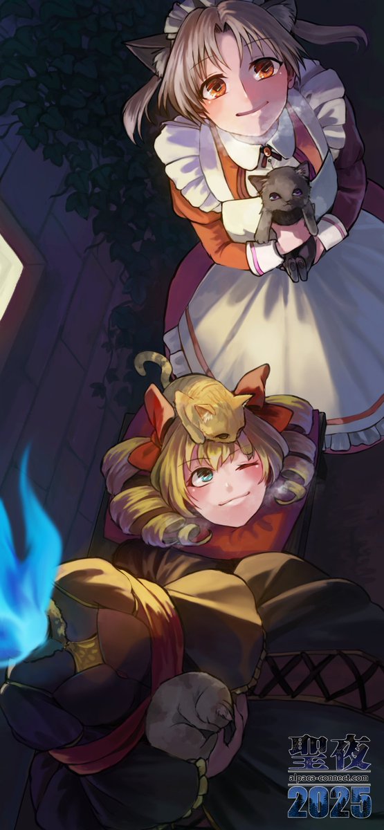 アルパカコネクト】