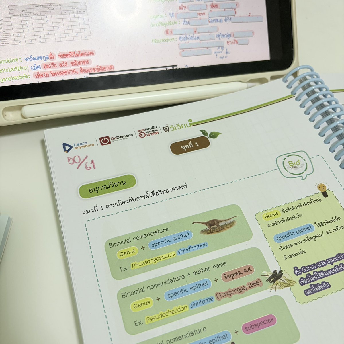 fairydnewz's tweet image. สู้ตาย ( ตายแล้ว เหลือสู้ ) ❤️‍🩹❤️‍🩹