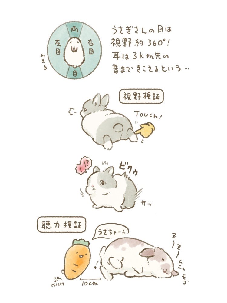 大賀一五🐰書籍発売中 (@taiga15) / Posts / X