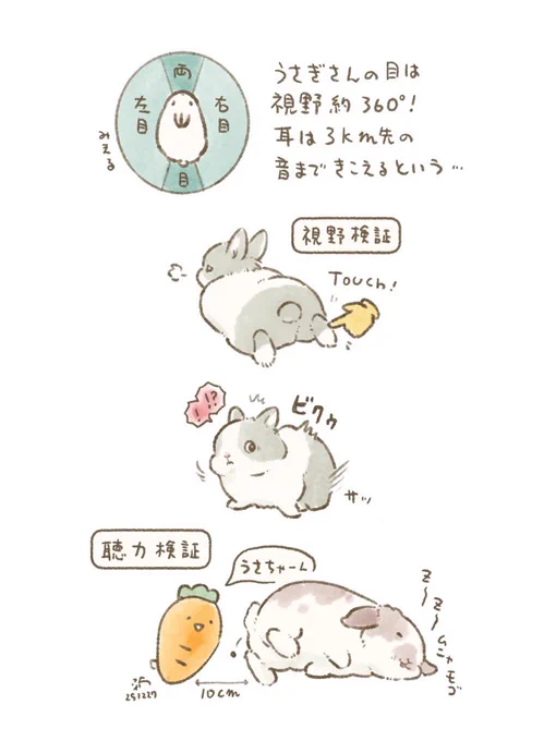 🐰うさぎさんのすごい能力! 