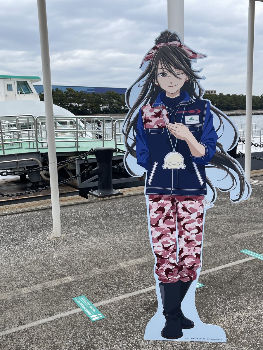 注意事項。 アトラクションで貰える プレミアムパス風カード (ランダム