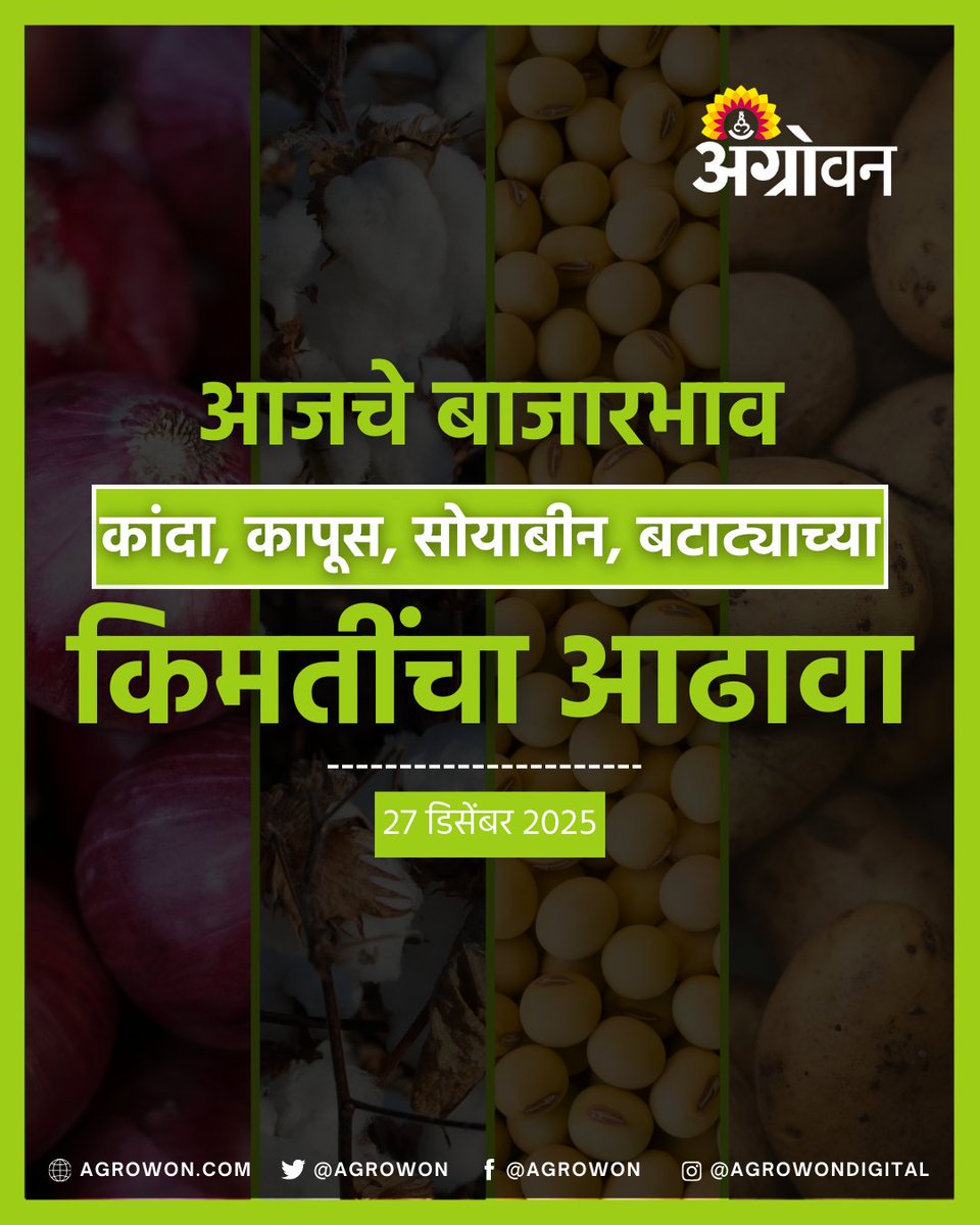 AGROWON's tweet photo. राज्यात कांदा, बटाटा, सोयाबीन, कापसाच्या किमती काय आहेत? कोणत्या पिकाच्या किमती वाढल्या आहेत, कोणत्या पिकाच्या किमतीत घसरण झाली आहे. हे जाणून घेण्यासाठी पाहा काय आहे आजचा बाजारभाव

#OnionPrice #SoybeanRate #maizeproductionrice #MarketPriceUpdate #AgriMarket #FarmersUpdate https://t.co/PwknXfJW1S