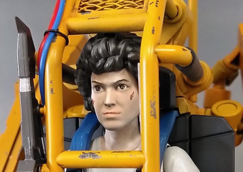 はっちゃん (@8_tyan) / Posts / X