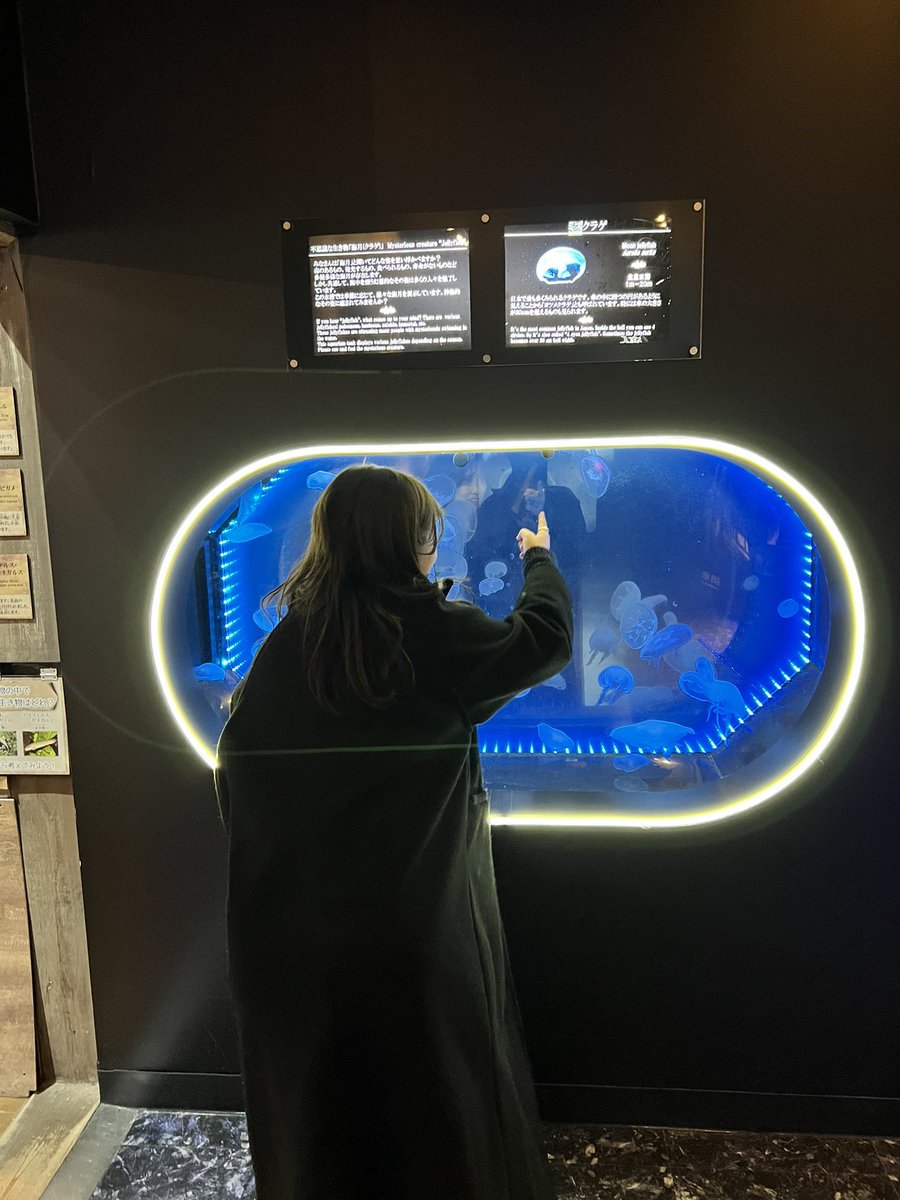 Post by ふじたく🐻 on X: 2日目