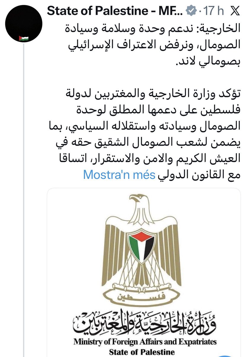 Els palestins han anat gairebé tan ràpid a no reconèixer Somalilàndia com van córrer l’1 d’Octubre a apostar per la unitat d’espanya en contra de Catalunya.

Molt curiós que reivindiquin tantíssim el dret a l’autodeterminació… només per ells. En fi… memòria.

Declaració oficial