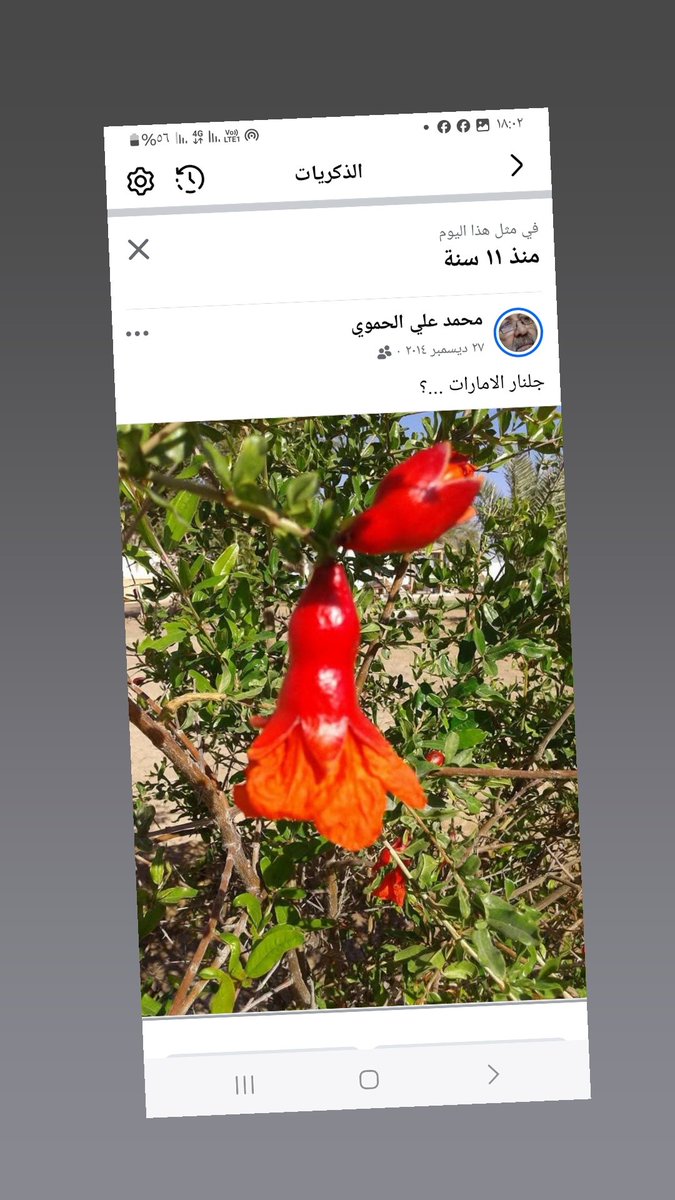 محمد علي الحموي (@ali_hamoui) on Twitter photo 