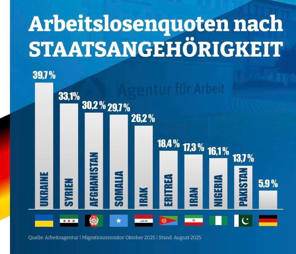 Mal ein einfaches Fachkräftediagramm: