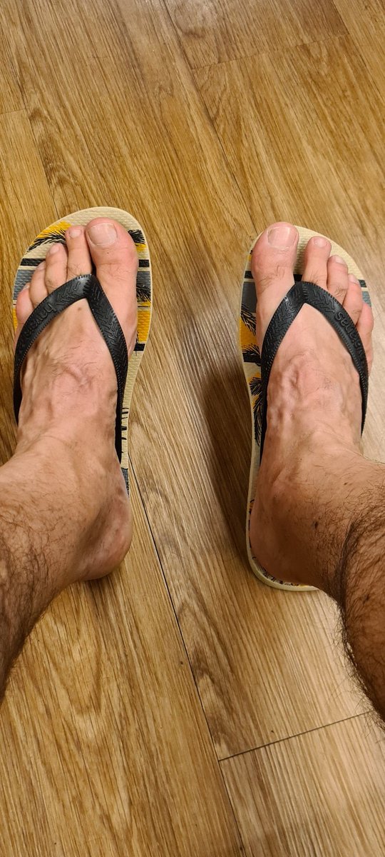 Ursão Sampa 😉 tweet media