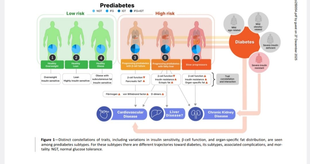 magraziagirone's tweet photo. @DiabetesCareADA @AskDrShashank @AmDiabetesAssn @ADA_DiabetesPro Diagnostico e intervencion temprana de #prediabetes fundamental para evitar #diabetes y complicaciones
@drfherediaz @rafael52987 
@alfonsomora81 @ENDOCRINO_COL
@Kaferiz2 @alejoromanmd 
@CristobMorales @albertlecube 
@dremarquezr @endocatracha 
@markinho_gc @RodolfoJGalindo https://t.co/jradKhDrHJ
