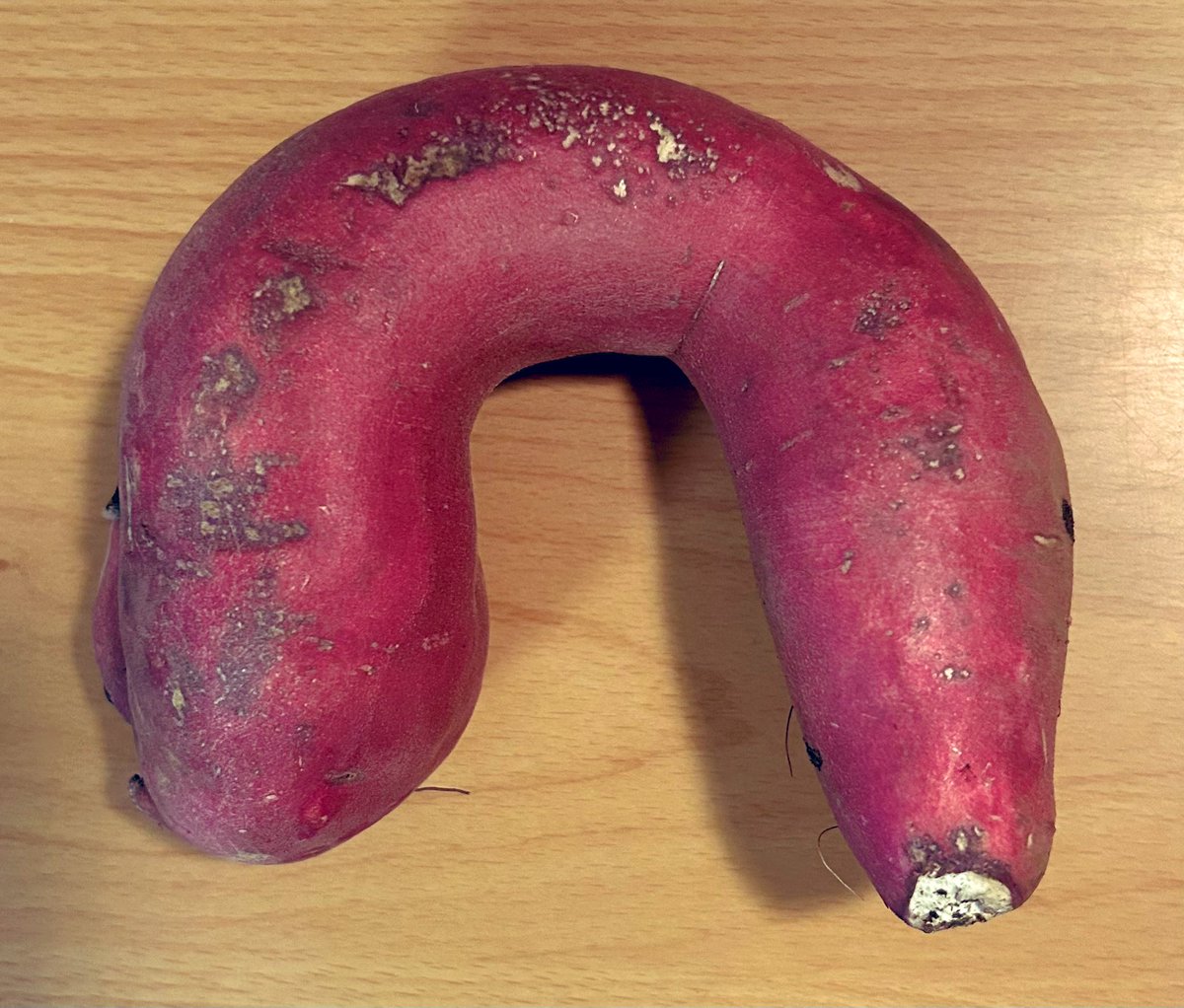 チリヌルヲワカ（CHIRINURUWOWAKA）|ユウ (@wowaka_official) / Posts / X