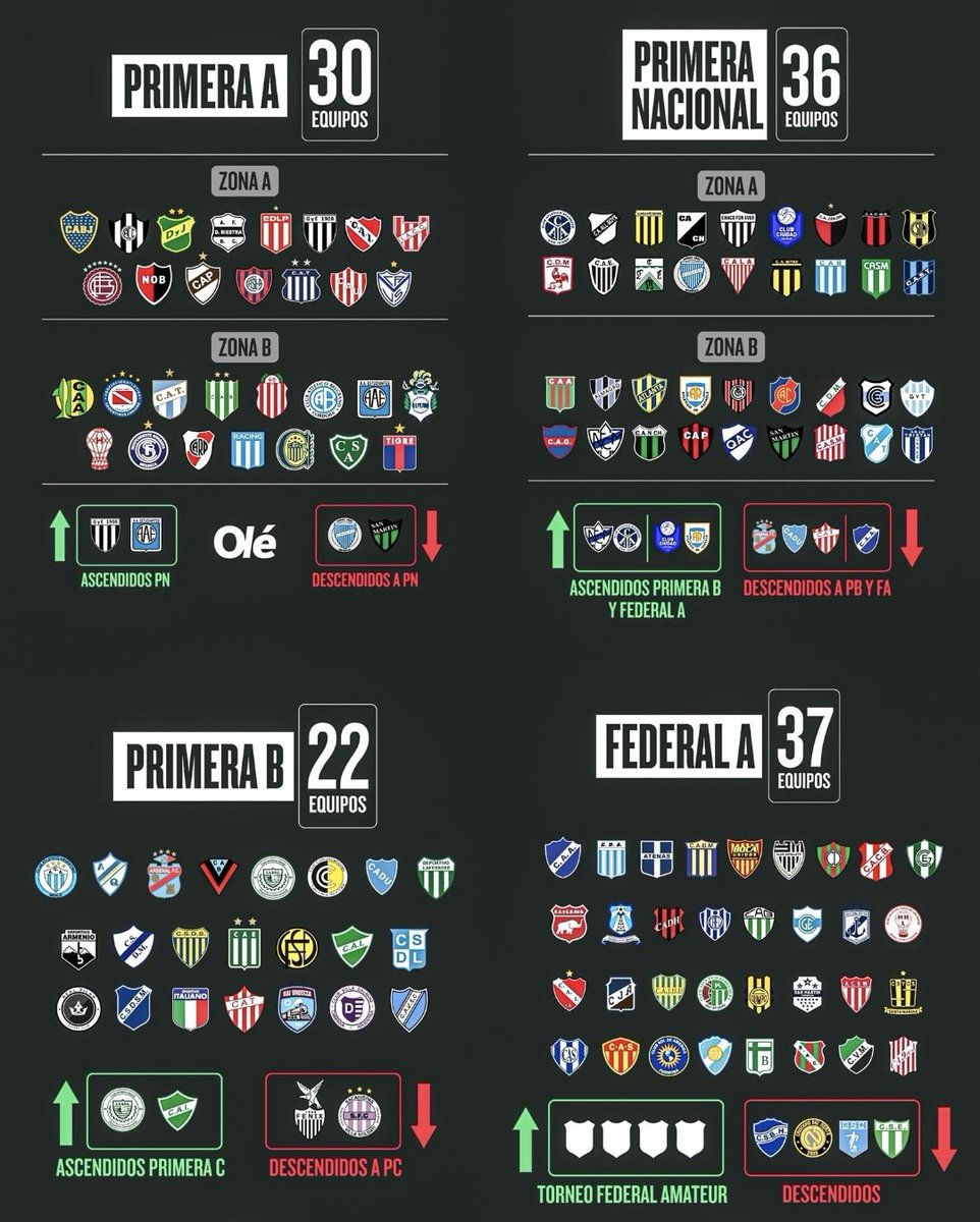 Al fútbol argentino no lo arreglás nunca más. Hay 66 equipos entre Primera y la B. Si descendes olvidate no volvés más. Arruinado para siempre