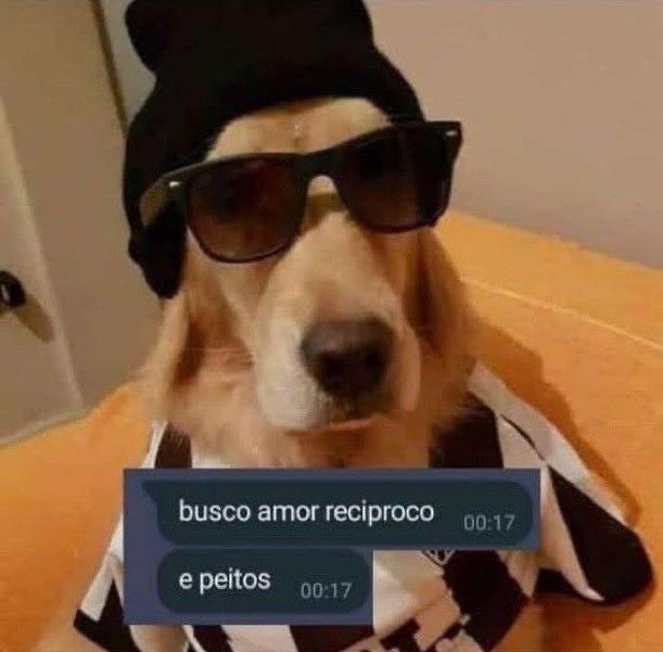 Shitpost só que de verdade (@shitpostverdade) on Twitter photo 