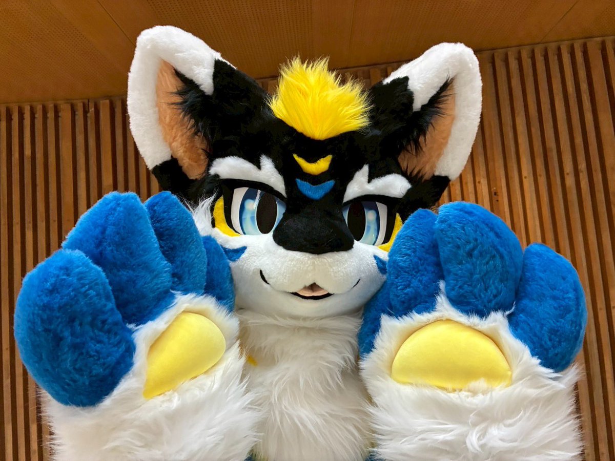 フータロウ@? tweet media