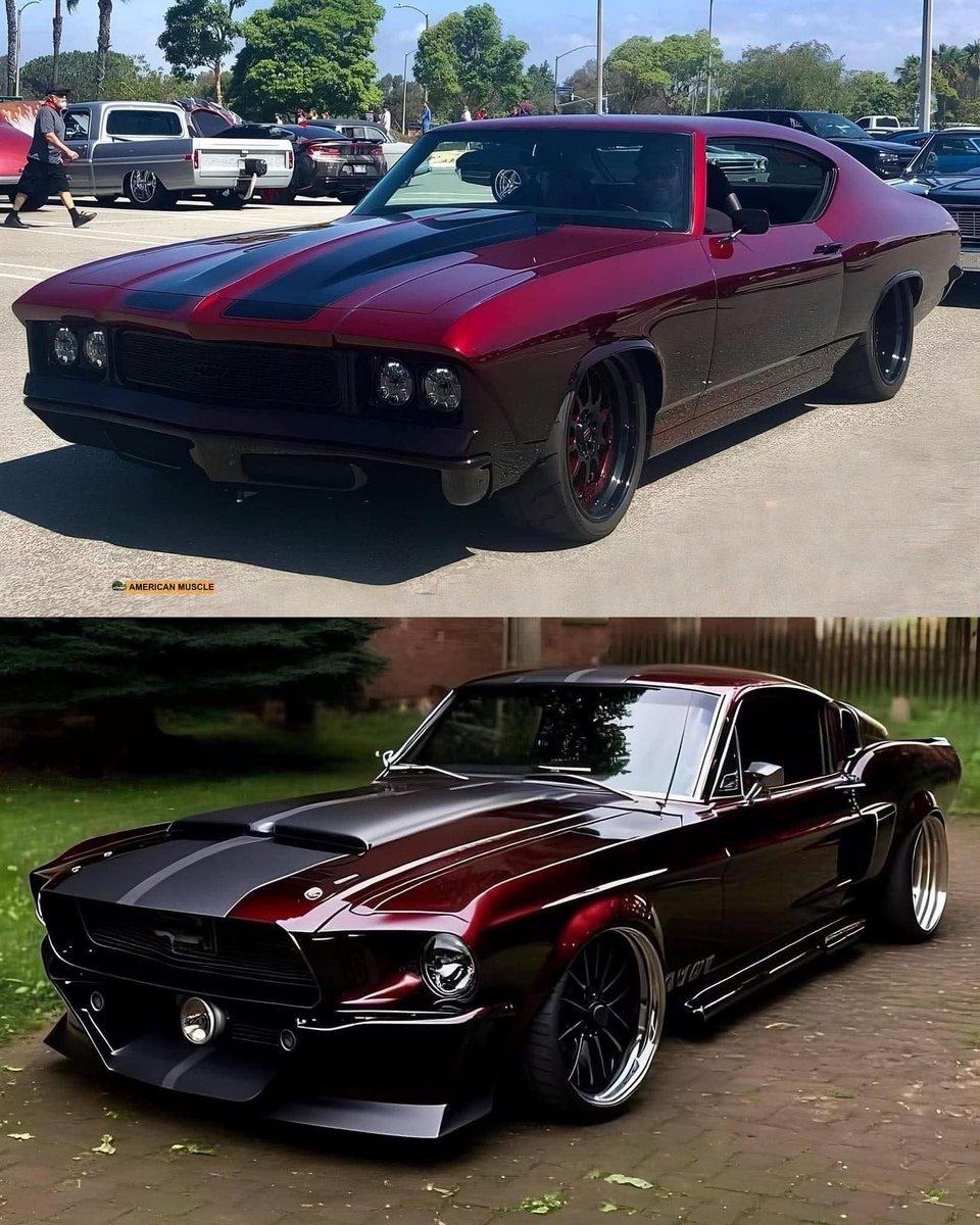 Col2Vintage's tweet image. Top or Bottom 🤔