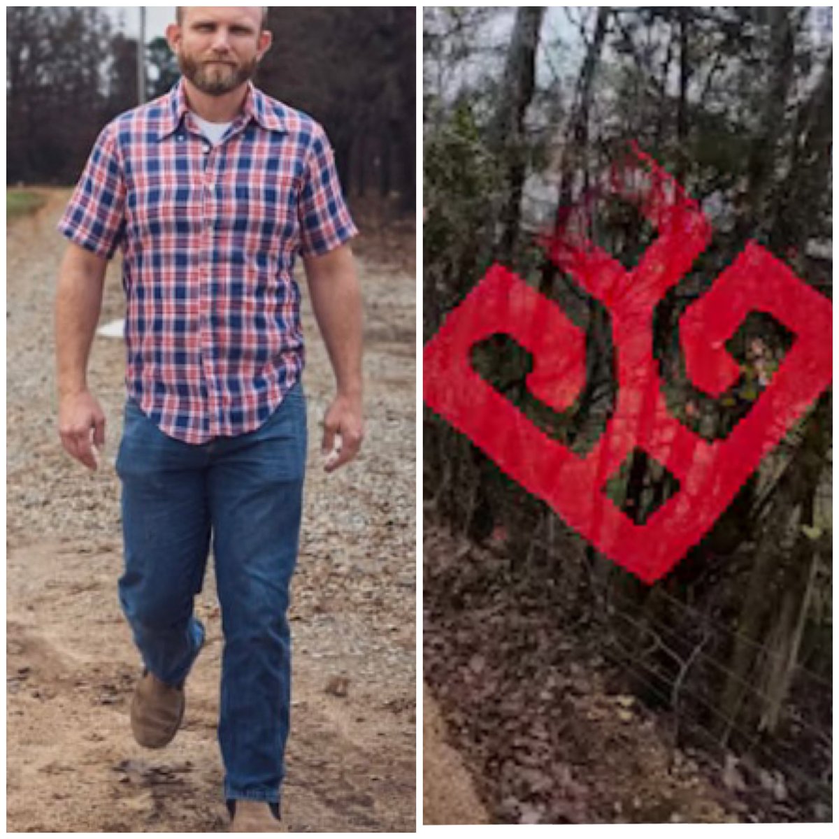 Hillevi Larsson tweet media