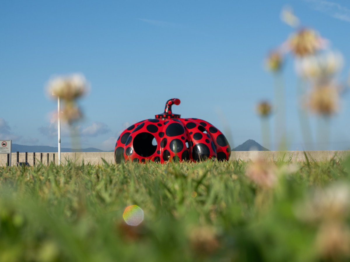 草間彌生《赤かぼちゃ》 いつもは人が群がる赤かぼちゃも、さすがに朝