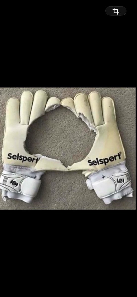 Martin Riley tweet media