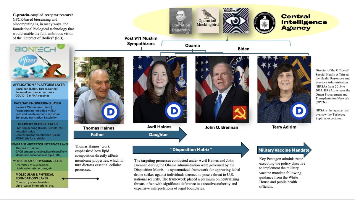 steviebdotblue's tweet image. 