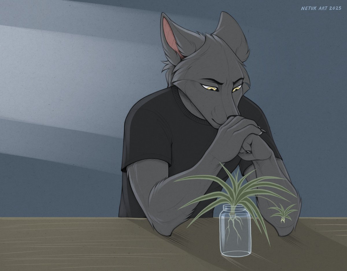 Netu 🦊 tweet media