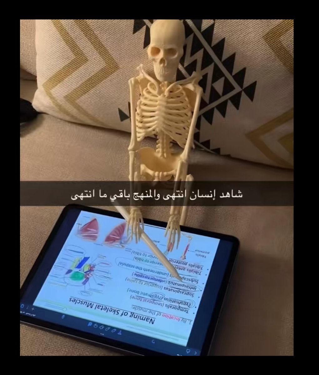 JOUD tweet media