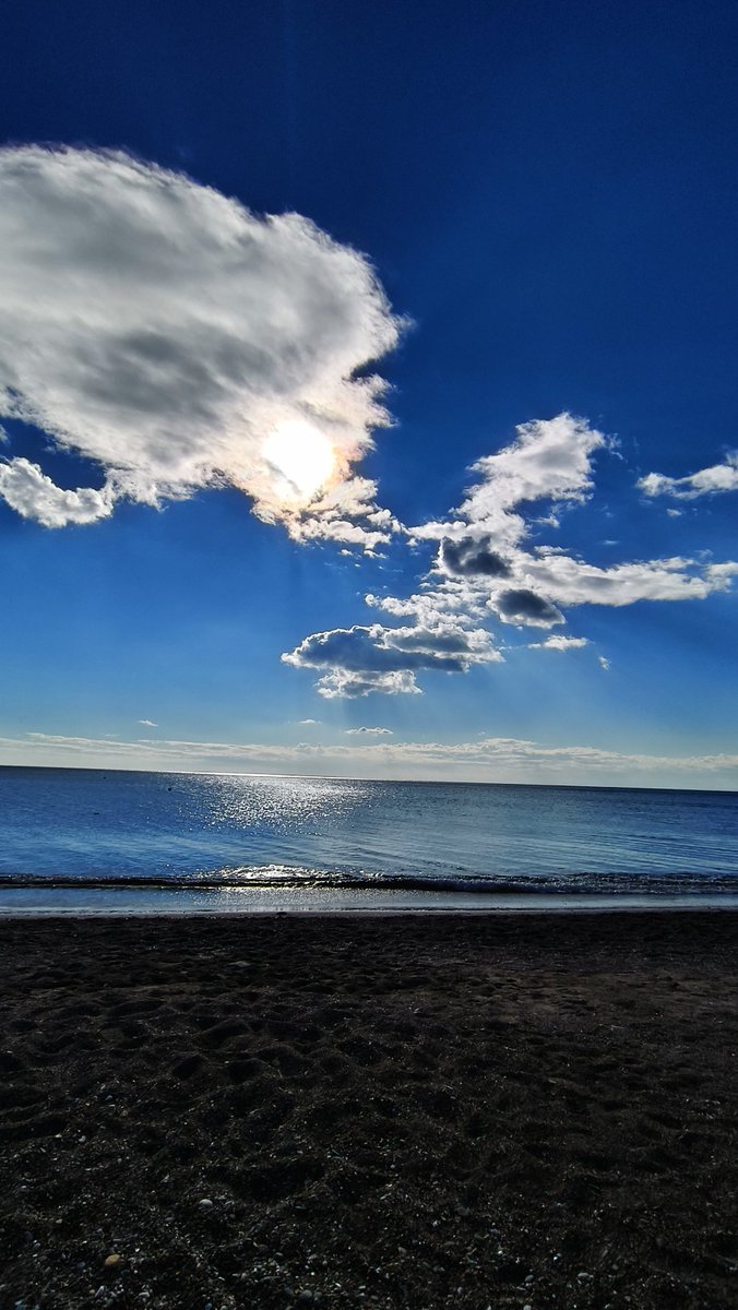 UmutWeb3's tweet image. 