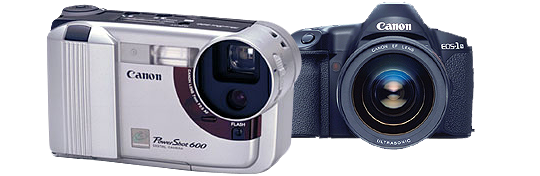 Nanok Bie tweet media