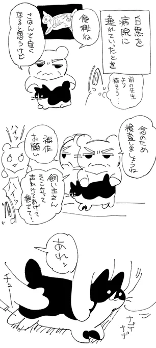日記です 白黒猫と病院 