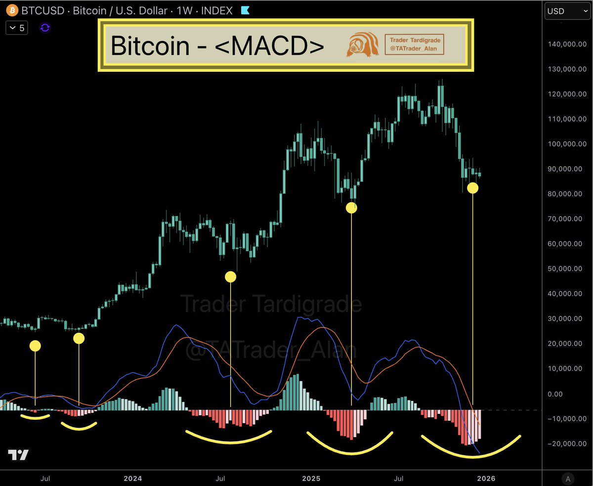 $BTC/weekly
#Bitcoin MACD is brewing something great 🔥