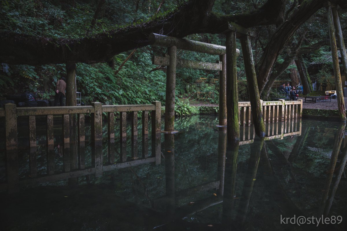 krd_style89's tweet image. #Nikon
#Zf
#スナップ