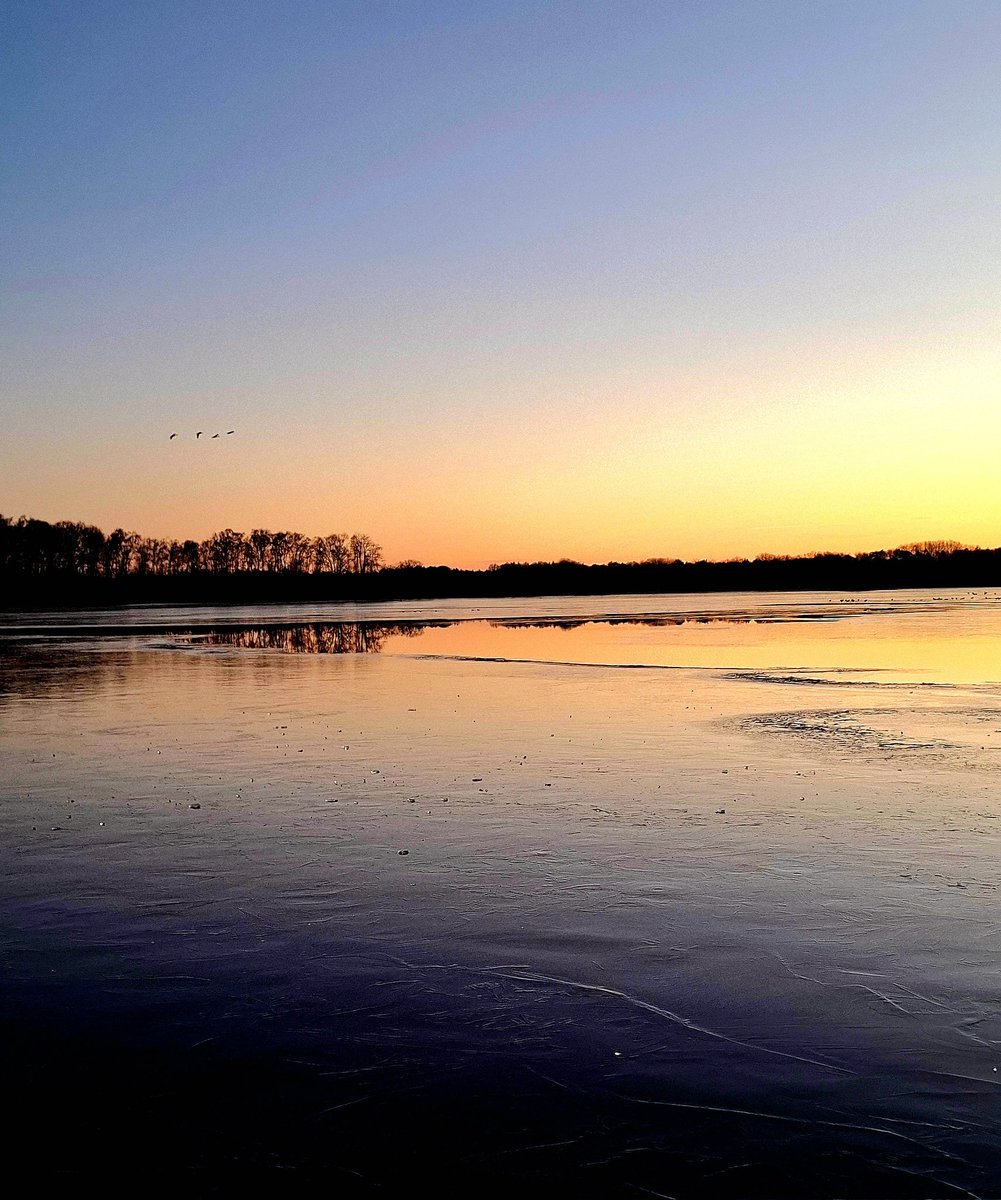 chriz31_07's tweet image. Photo Challenge: Golden Winter Lake Moments ☀️❄️

Share your sunrise or sunset over a snowy/frozen lake! 🌅❄️

#WinterSunrise #LakeSunset #WinterMagic