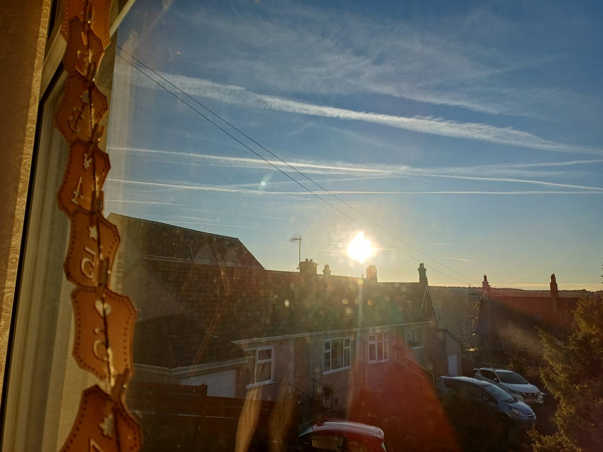 Brian Ward tweet media