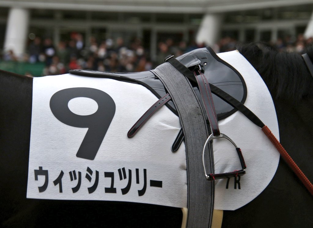 ウィッシュツリー #ピースエンブレムの22 #ピーちゃん