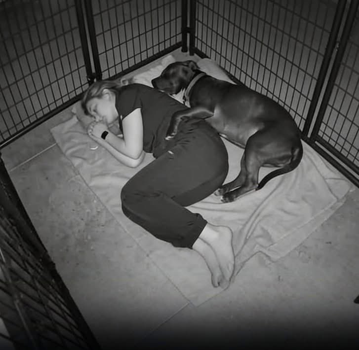 “Barnaby, a shelter dog who had suffered abuse his whole life, was terrified of the dark and shaking in his cage at a vet clinic at 2:00 AM. Jessica, a night-shift vet tech, noticed Barnaby crying and unable to settle.

Instead of resting in the break room, she returned to the