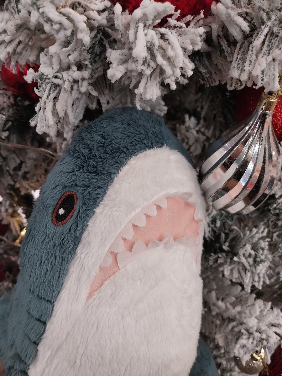 I have my own sharkkkkkkk :D

Thanks <a href="/Cutemio1R02/">Night Mio よる</a> :)

Help me think a name for shark :D 👇